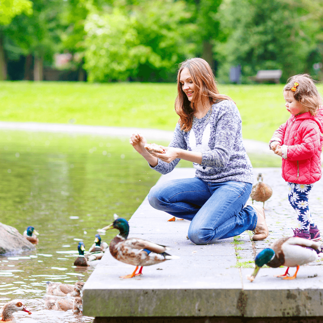 Entenfüttern am Wasser – entschleunigte Kinderaktivitäten Bremen im Park