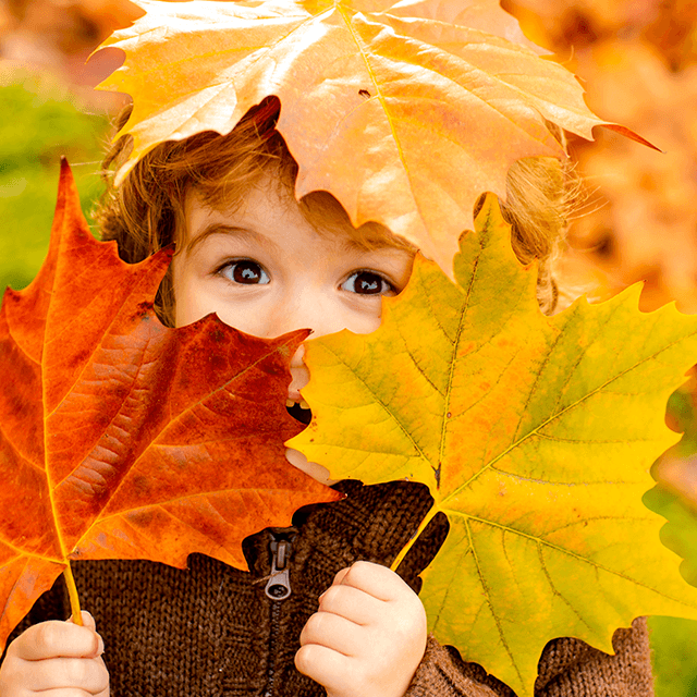 Kind hält bunte Herbstblätter in den Händen draußen